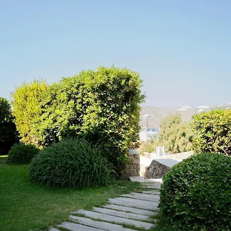 Magenta Villa *